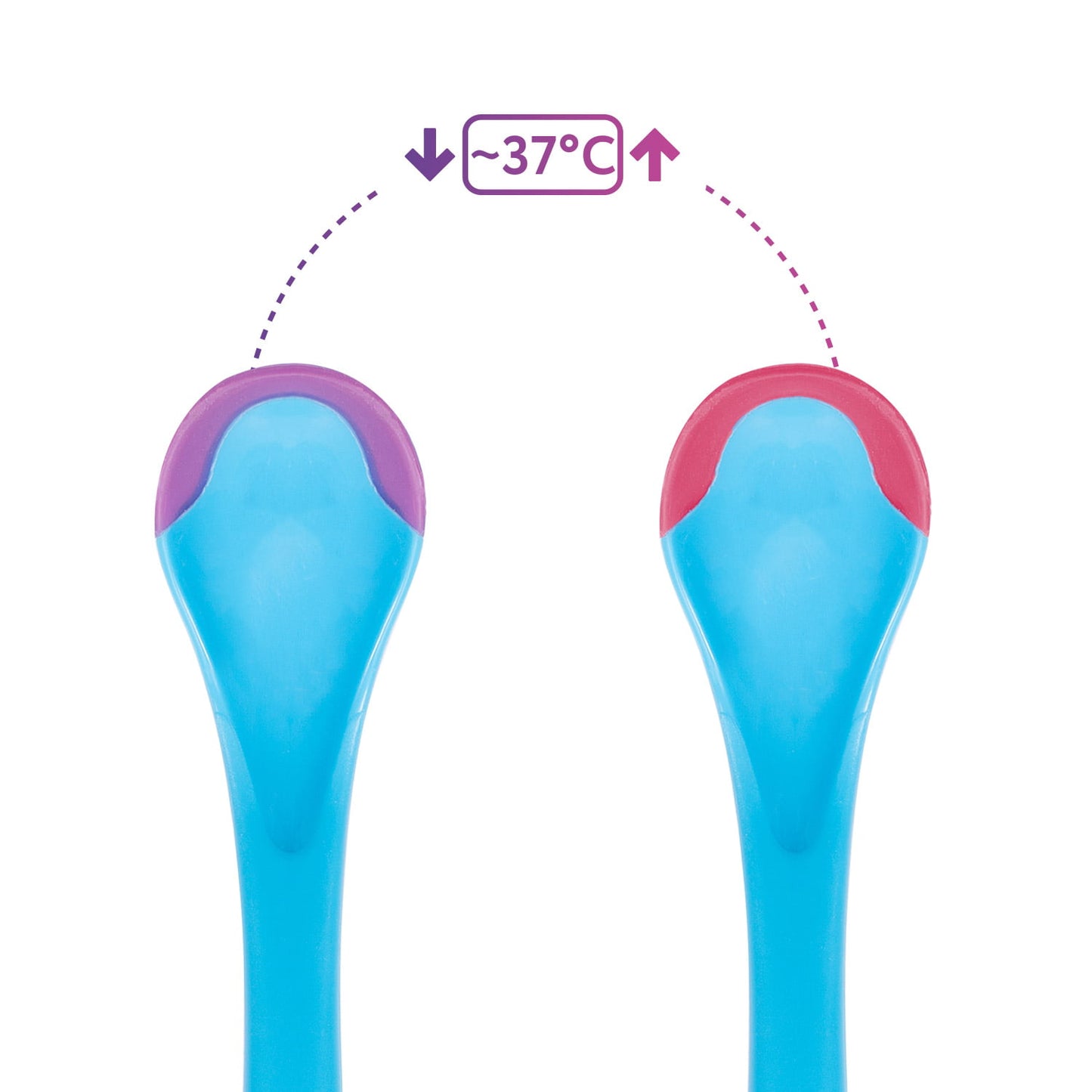 Termo karotīte, zila, Baboo, 10-024