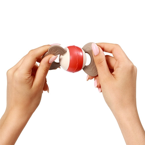 Grabulītis, BabyOno, 1587