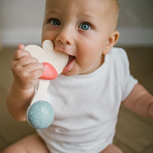 Grabulītis, BabyOno, 1589