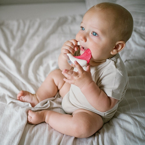 Grabulītis, BabyOno, 1593