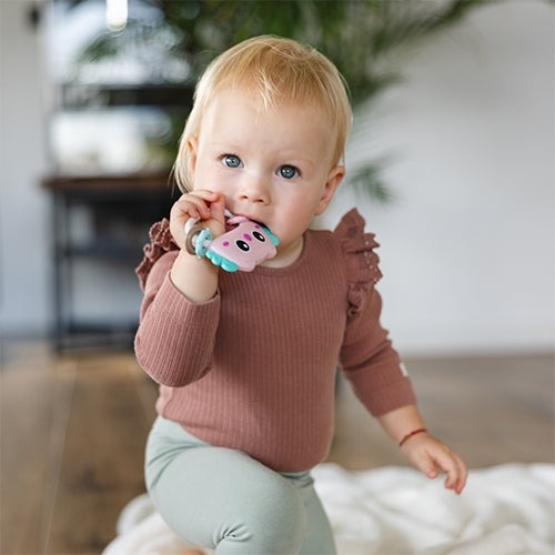 Grabulītis Pūce, BabyOno, 1626