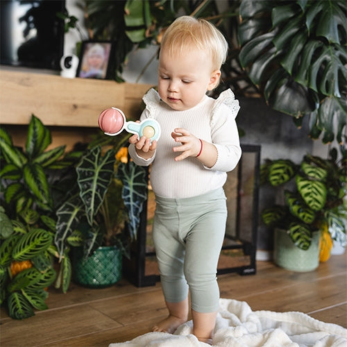 Grabulītis, BabyOno, 1629