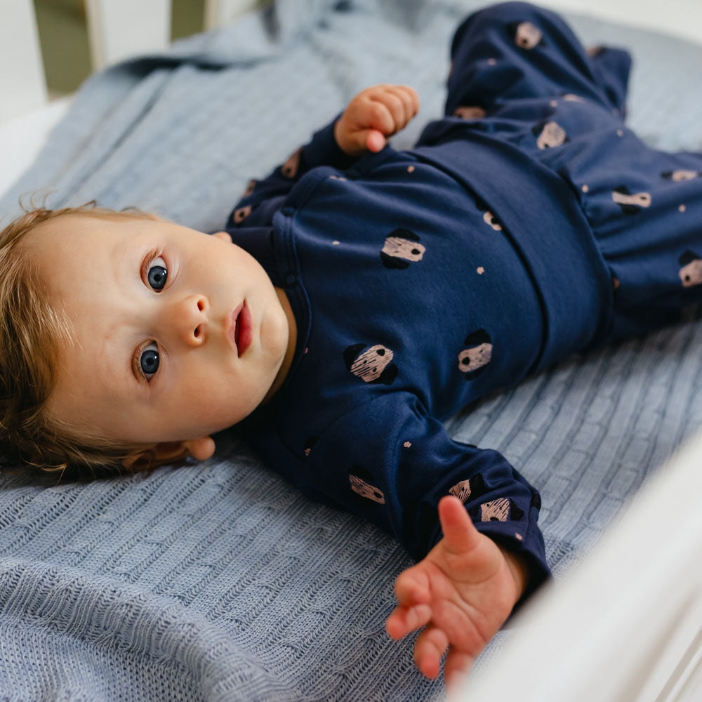 Bodijs 4, Puppy, Eevi