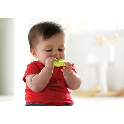 Teether, Munchkin, 011324