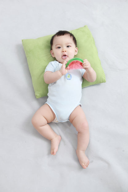 Ūdens zobgrauznītis, Kidsme, 9353