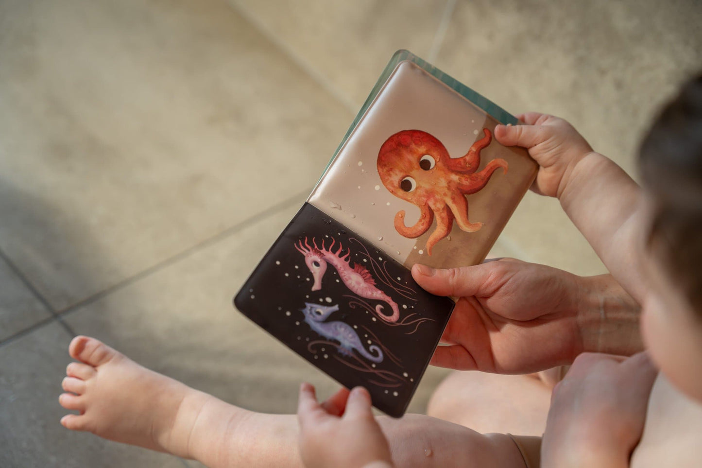 Pirmā grāmatiņa Jūras dzīvnieki, Filibabba